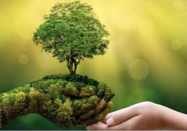 Sống xanh là gì? Những xu hướng sống xanh nổi bật năm 2025
