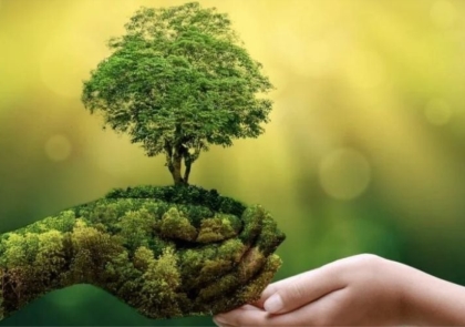 Sống xanh là gì? Những xu hướng sống xanh nổi bật năm 2025